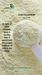 cow colostrum Igg 24%