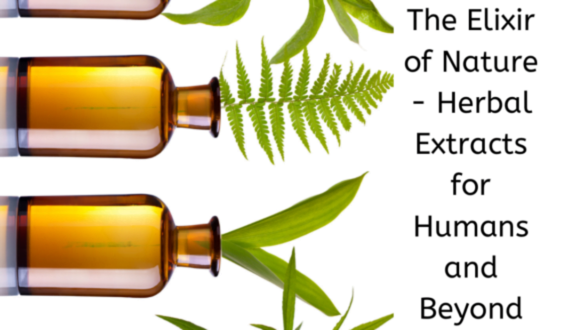 Herbal Extracts for Humans and Beyond