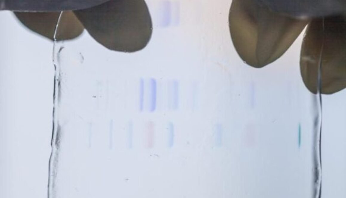 COLLAGEN PEPTIDE IMAGE