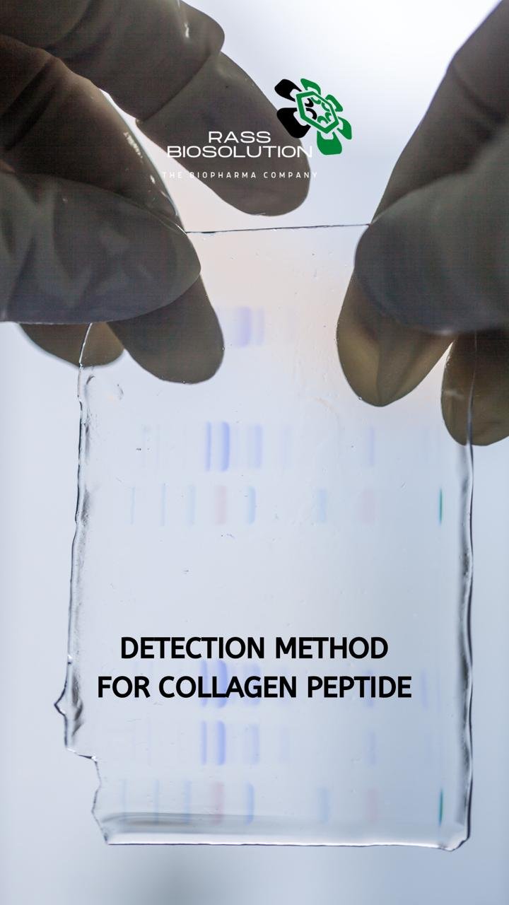 COLLAGEN PEPTIDE IMAGE COLLAGEN PEPTIDE IMAGE