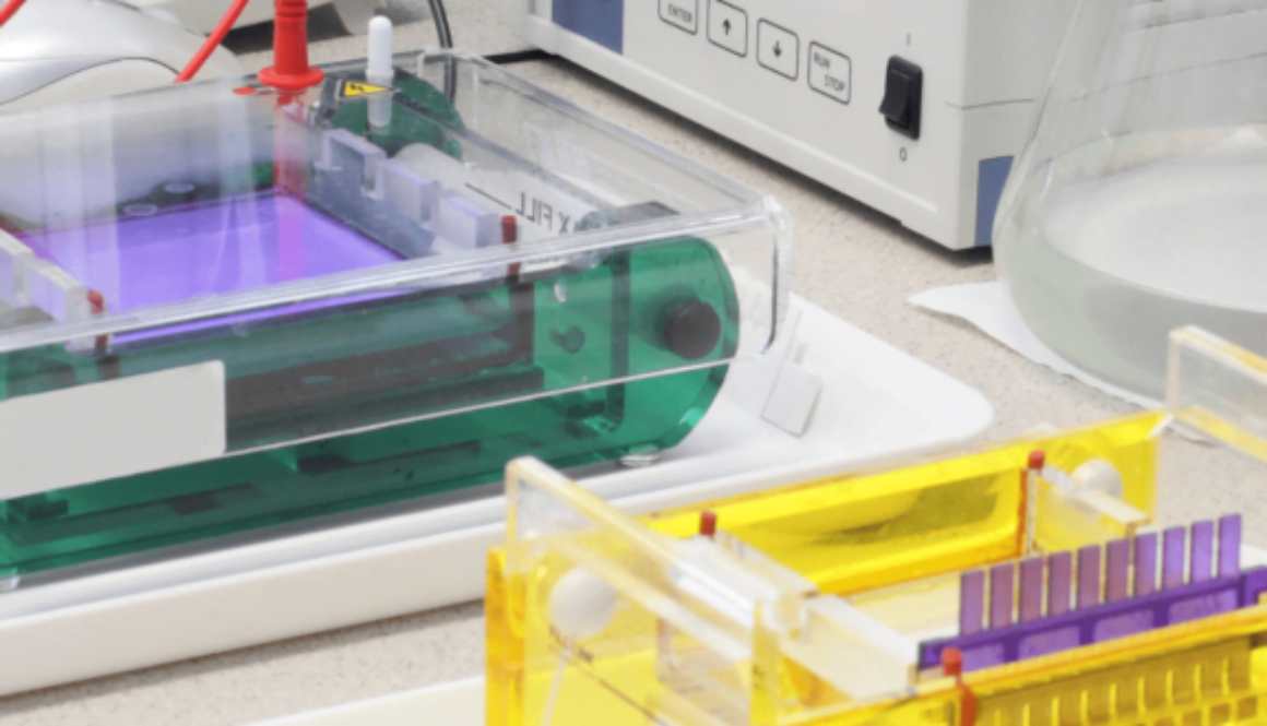 Vitamin B-COMPLEX DETECTION-min